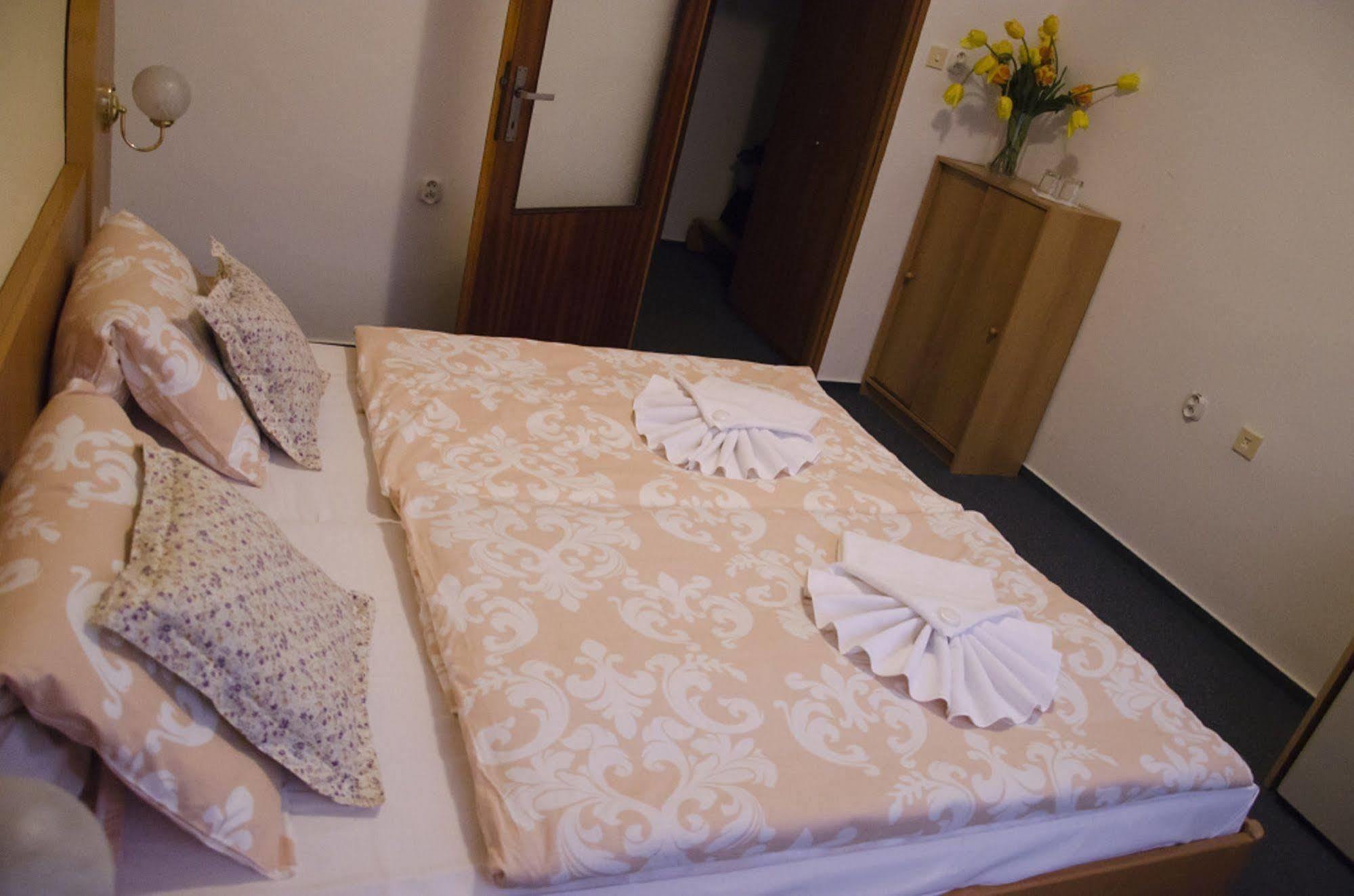 Hotel Zatisi Frantiskovy Lazne Bagian luar foto